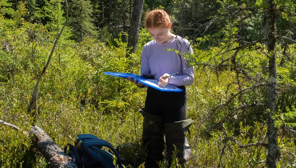 Maya Gilpren jotting down notes in a bog in northern Maine