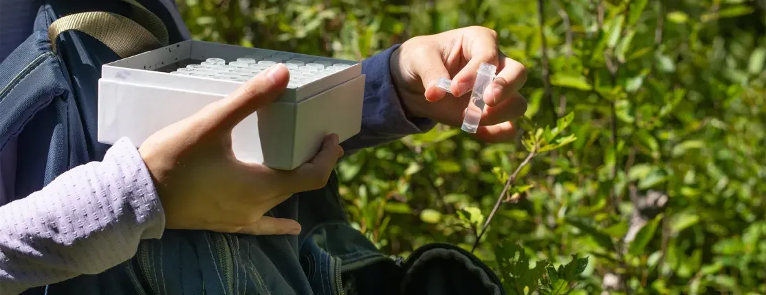 Maya Gilpren holding a sample file and backpack in the Bigelow Preserve